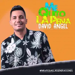Me Quito la Pena - Single by David Angel album reviews, ratings, credits
