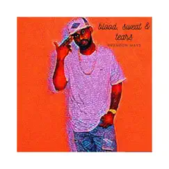 Blood, Sweat, & Tears by Brandon Mays album reviews, ratings, credits