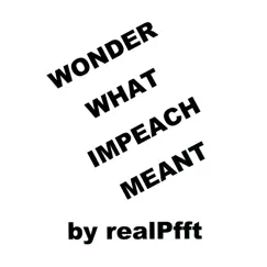 Wonder What Impeach Meant Song Lyrics