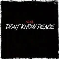 Don't Know Peace - Single by Sh3llz album reviews, ratings, credits