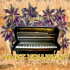 What You Want Song Lyrics