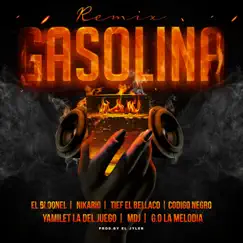 Gasolina (Remix) Song Lyrics