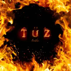 Tűz - Single by BroWn album reviews, ratings, credits