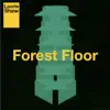 Forest Floor - Single album lyrics, reviews, download