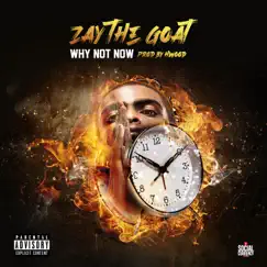 Why Not Now - EP by ZayTheGOAT album reviews, ratings, credits
