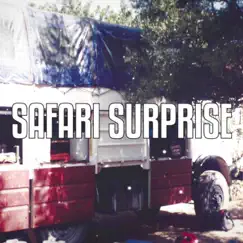 Safari Surprise Song Lyrics