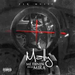 Me Tienen en la Mira - Single by Mally album reviews, ratings, credits