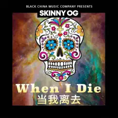 When I Die - Single by Skinny OG album reviews, ratings, credits