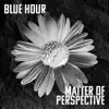 Matter of Perspective - EP album lyrics, reviews, download
