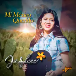 Mi México Querido Song Lyrics