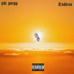 Endless - Single by YDC Purpp album reviews, ratings, credits
