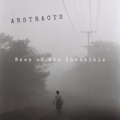 Abstracts by Bees of the Invisible album reviews, ratings, credits
