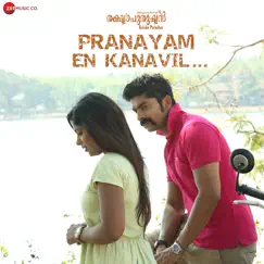 Pranayam En Kanavil - Single by Jibin George Sebastian & Najim Arshad album reviews, ratings, credits