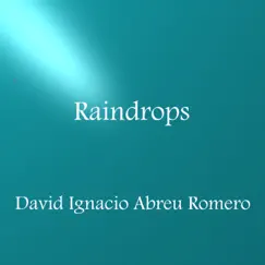 Raindrops (Instrumental Version) - Single by David Ignacio Abreu Romero album reviews, ratings, credits