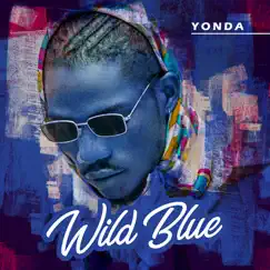 Wild Blue by Yonda album reviews, ratings, credits