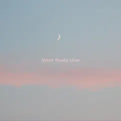 Never Really Over (Acoustic) - Single by Re:issues album reviews, ratings, credits