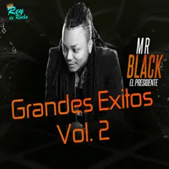 Grandes Éxitos, Vol. 2 by Mr Black El Presidente album reviews, ratings, credits
