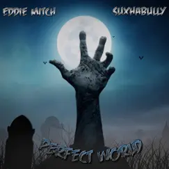 Perfect World (feat. Suxhabully) - Single by Eddie MItch album reviews, ratings, credits