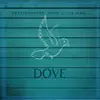Dove - Single album lyrics, reviews, download