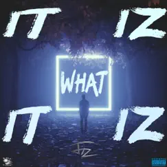 It Iz What It Iz (It Is What It Is) - Single by Jiz album reviews, ratings, credits