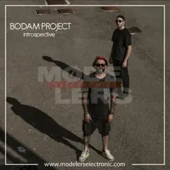 Introspective - Single by Bodam Project album reviews, ratings, credits