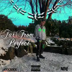FarFromPerfect by N30nmartian album reviews, ratings, credits