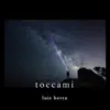 Toccami - Single album lyrics, reviews, download