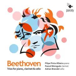 Trio for Piano, Clarinet and Cello in E-Flat Major, Op. 38 (After Septet, Op. 20): II. Adagio cantabile Song Lyrics