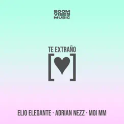 Te Extraño Song Lyrics