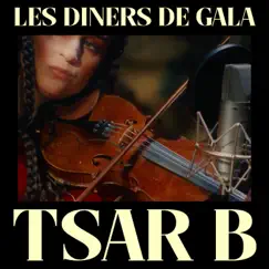 Rattlesnake (live at Les Diners de Gala) Song Lyrics