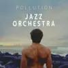POLLUTION JAZZ ORCHESTRA album lyrics, reviews, download