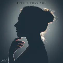 Better Than You Song Lyrics