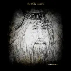 The Olde Wizard - Single by Stephen Williamson album reviews, ratings, credits