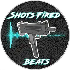 Crazy Talk (Instrumental) - Single by Shots Fired album reviews, ratings, credits