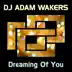 Dreaming of You - Single album cover