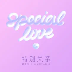 Special Love Song Lyrics