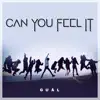 Can You Feel It - Single album lyrics, reviews, download
