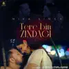 Tere Bin Zindagi - Single album lyrics, reviews, download