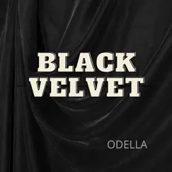 Black Velvet Song Lyrics