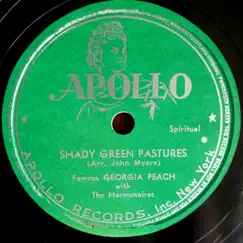 Shady Green Pastures (feat. The Harmonaires) Song Lyrics