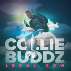Legal Now - Single by Collie Buddz album reviews, ratings, credits
