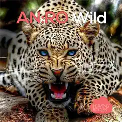 Wild - EP by Anro album reviews, ratings, credits