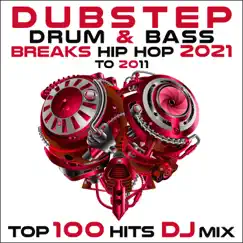 Bass Aint Free (Dubstep Drum & Bass Breaks Hip Hop 2021 to 2011 Top 100 Hits DJ Mixed) Song Lyrics