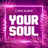Your Soul - Single album lyrics, reviews, download