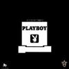 Playboy (feat. StarBoy Q) - Single album lyrics, reviews, download