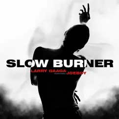 Slow Burner by Larry Gaaga & Joeboy album reviews, ratings, credits