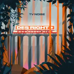 Des Right (Extended Mix) - Single by TV Noise album reviews, ratings, credits