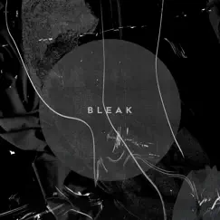 Bleak - Single by Frege album reviews, ratings, credits