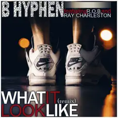 What It Look Like (feat. R.O.B. And Ray Charleston) [Remix] Song Lyrics