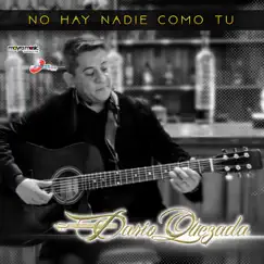 No Hay Nadie Como Tú Song Lyrics